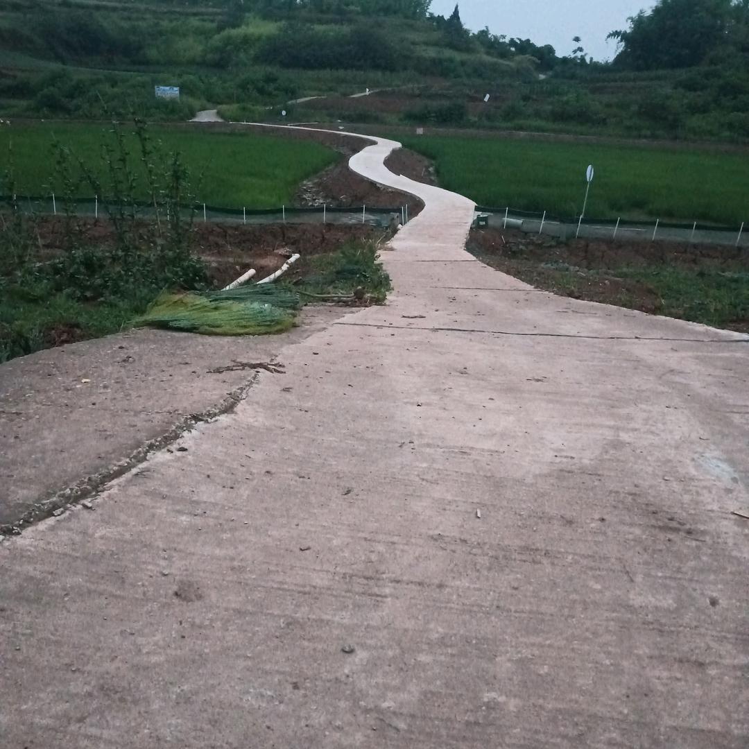 骏松
