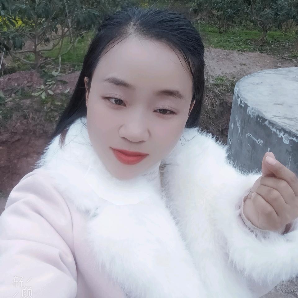 燕子卤菜