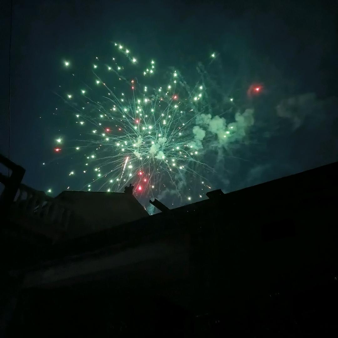 碎心鱼