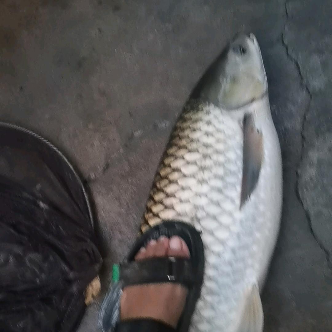 沙埌钓鱼场