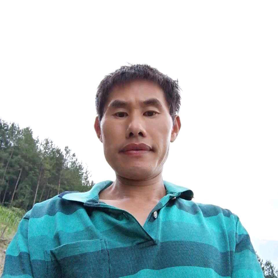 龙哥草药