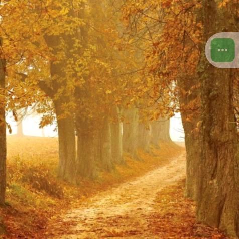 ✺◟(∗❛ัᴗ❛ั∗)◞✺静