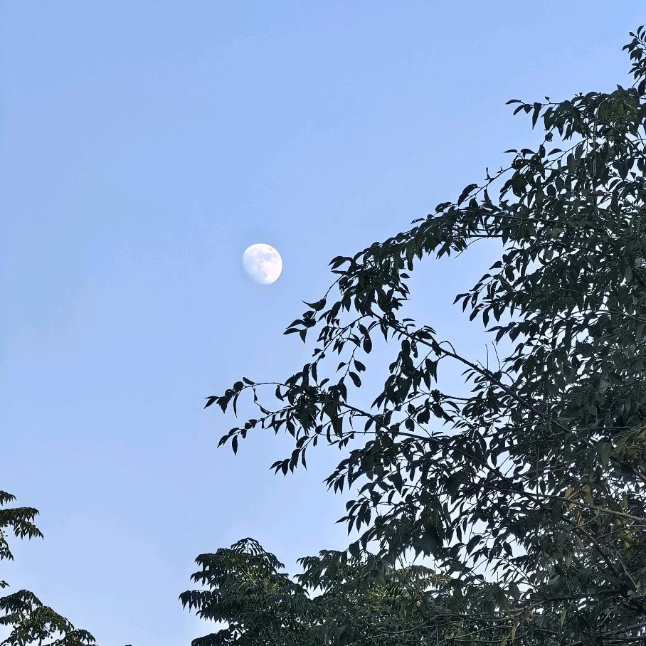 京洛阿峰养生