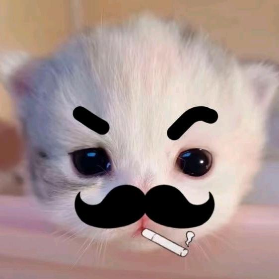 AAA——鸡蛋批发强哥