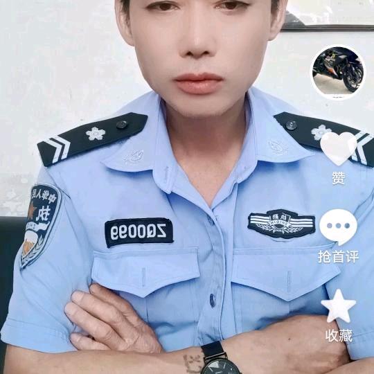 成总