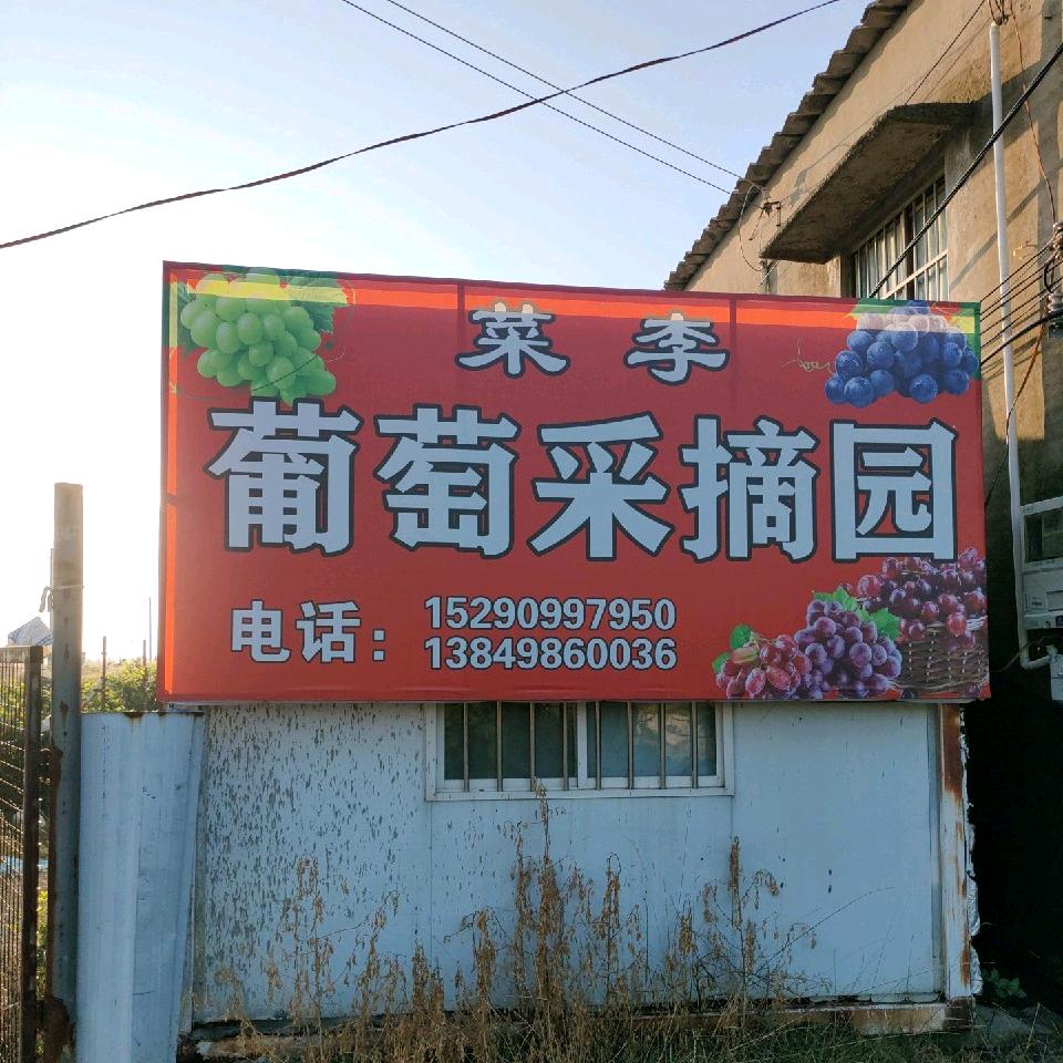 丑儿