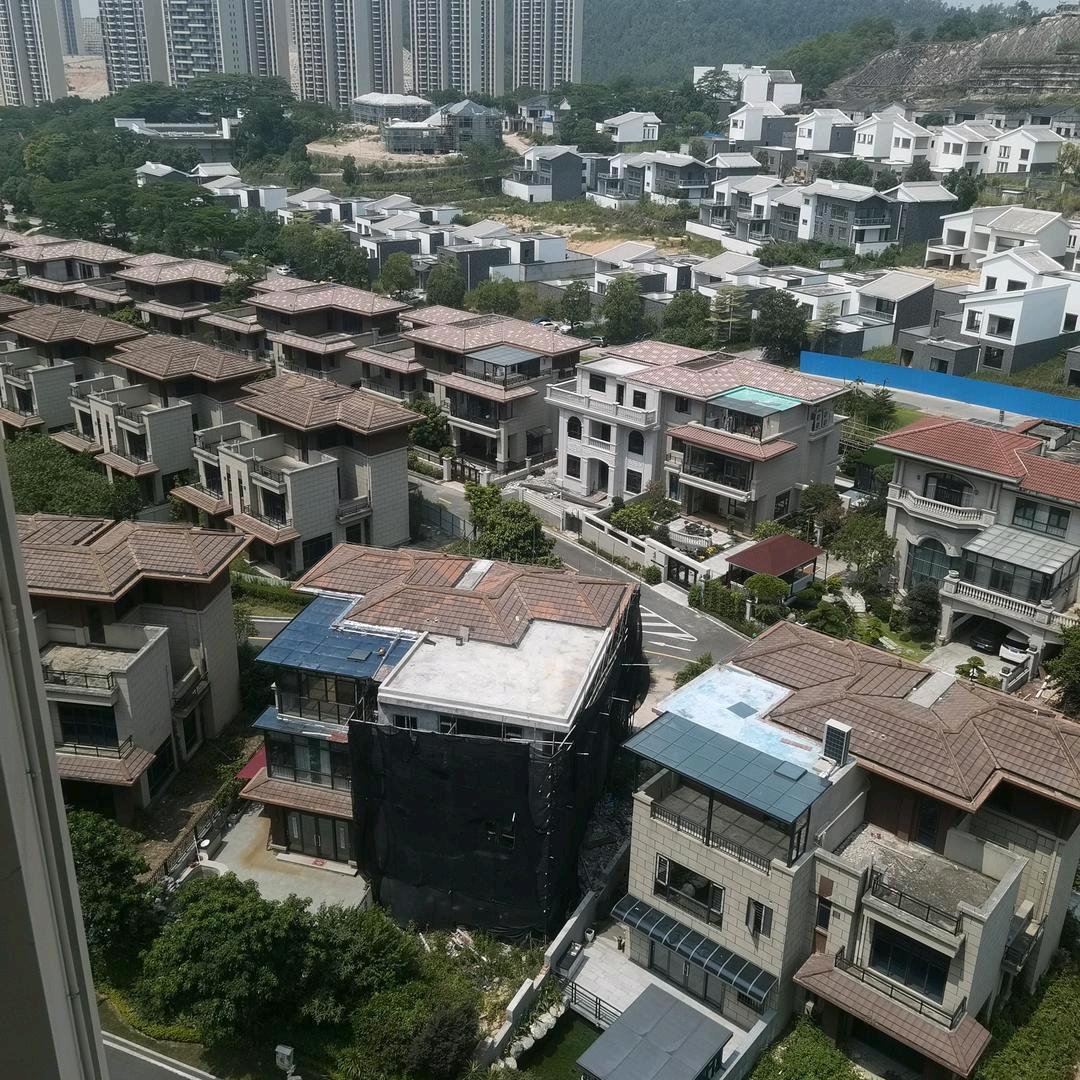 小飞飞。