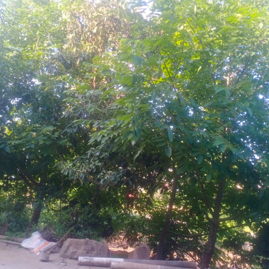 一路平安