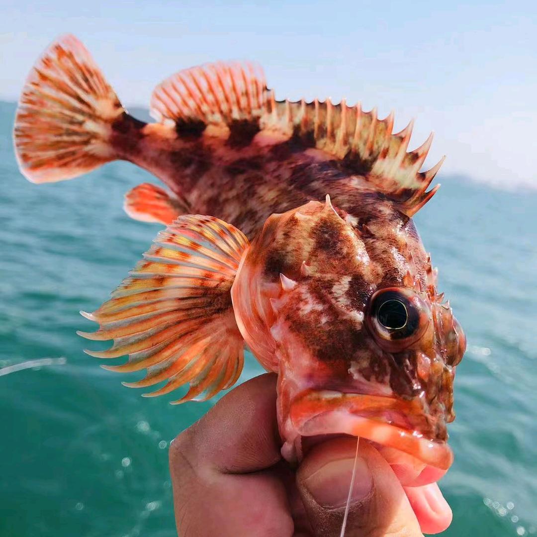 江湖钓客海钓俱乐部