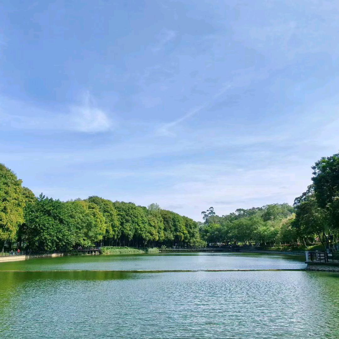 真爱永恒（香姐）