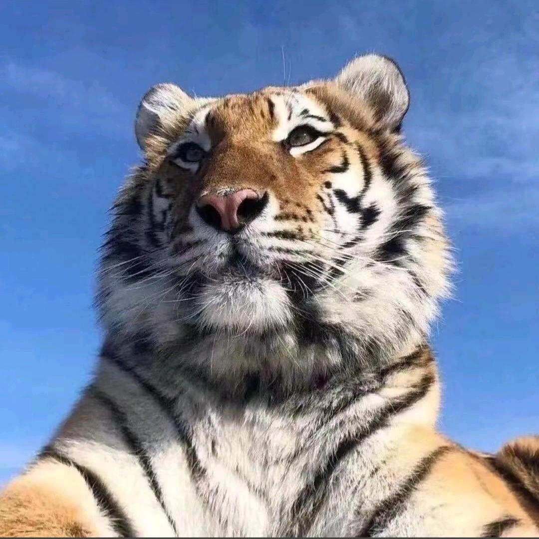 醉梦