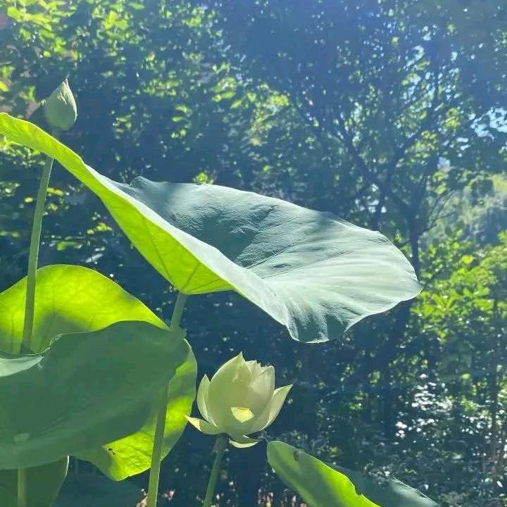 🌈信念🍀
