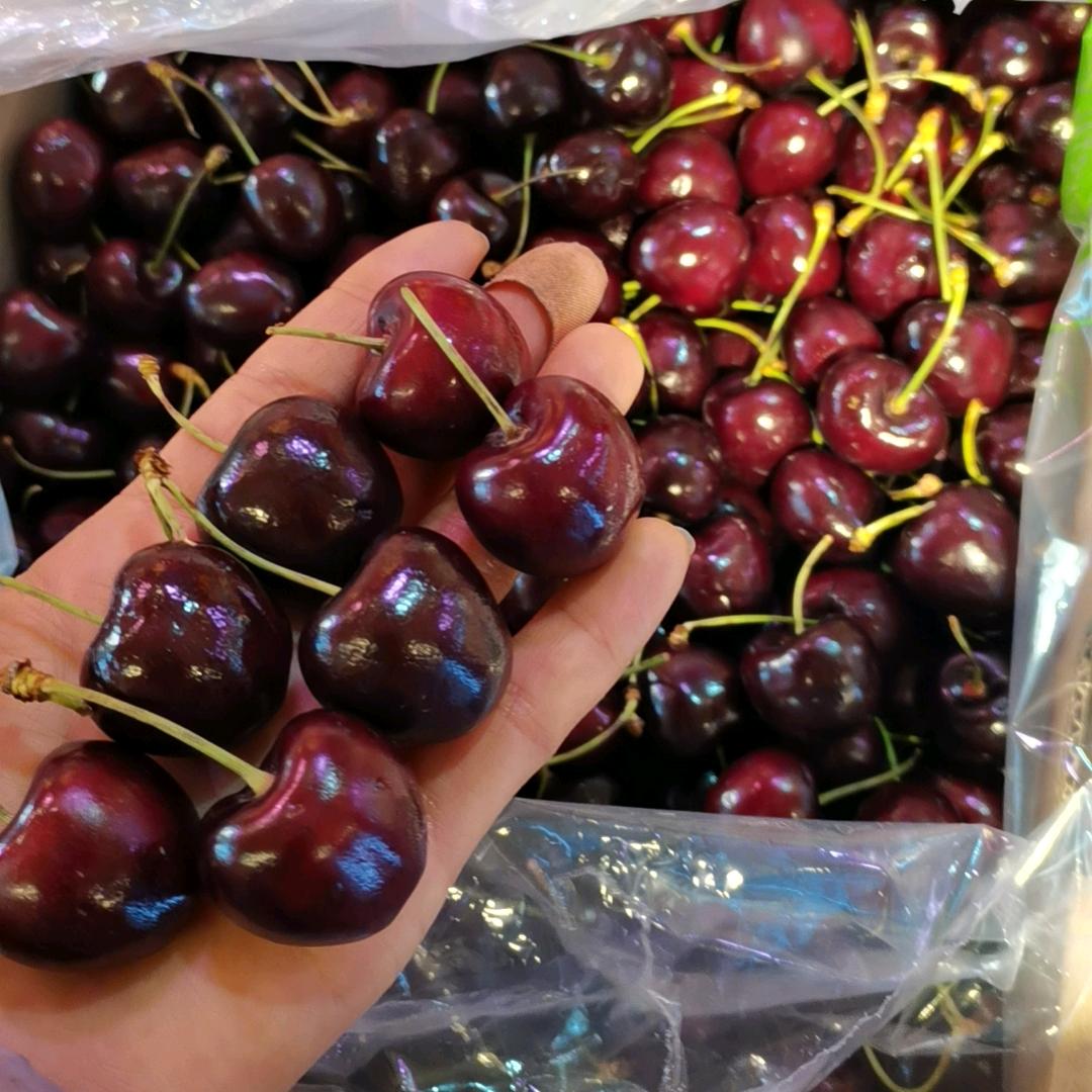 荣军路  亿果园水果店