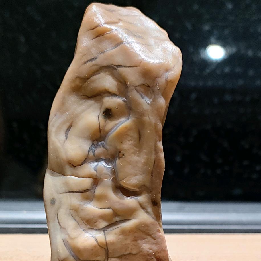 天雕笔记