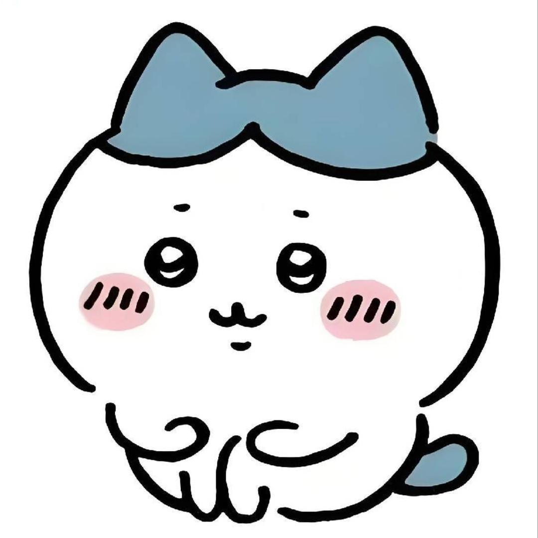 围巾猫