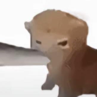 饿了泡包干脆面