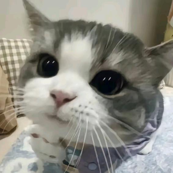 我菜我不难受吗