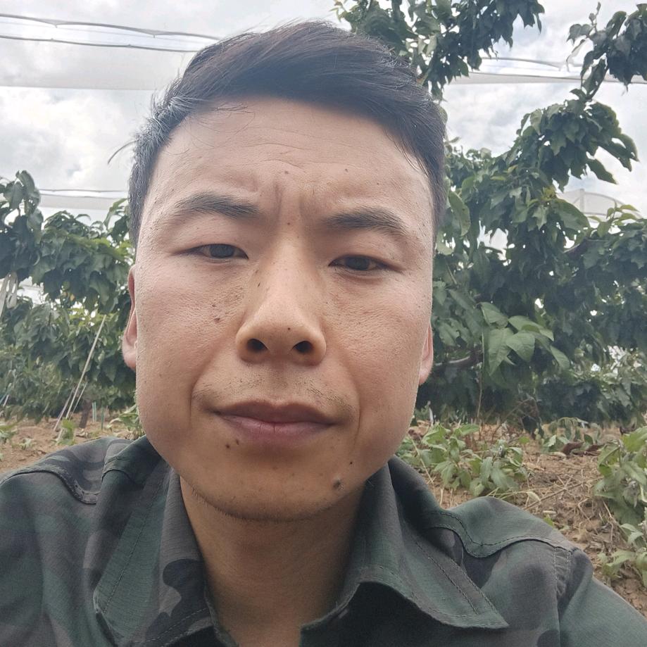 琪鲜生水果