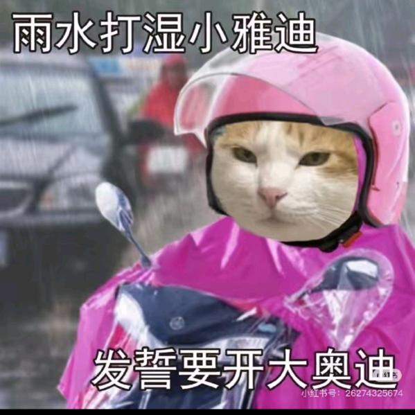 AAA-水果批发赵哥