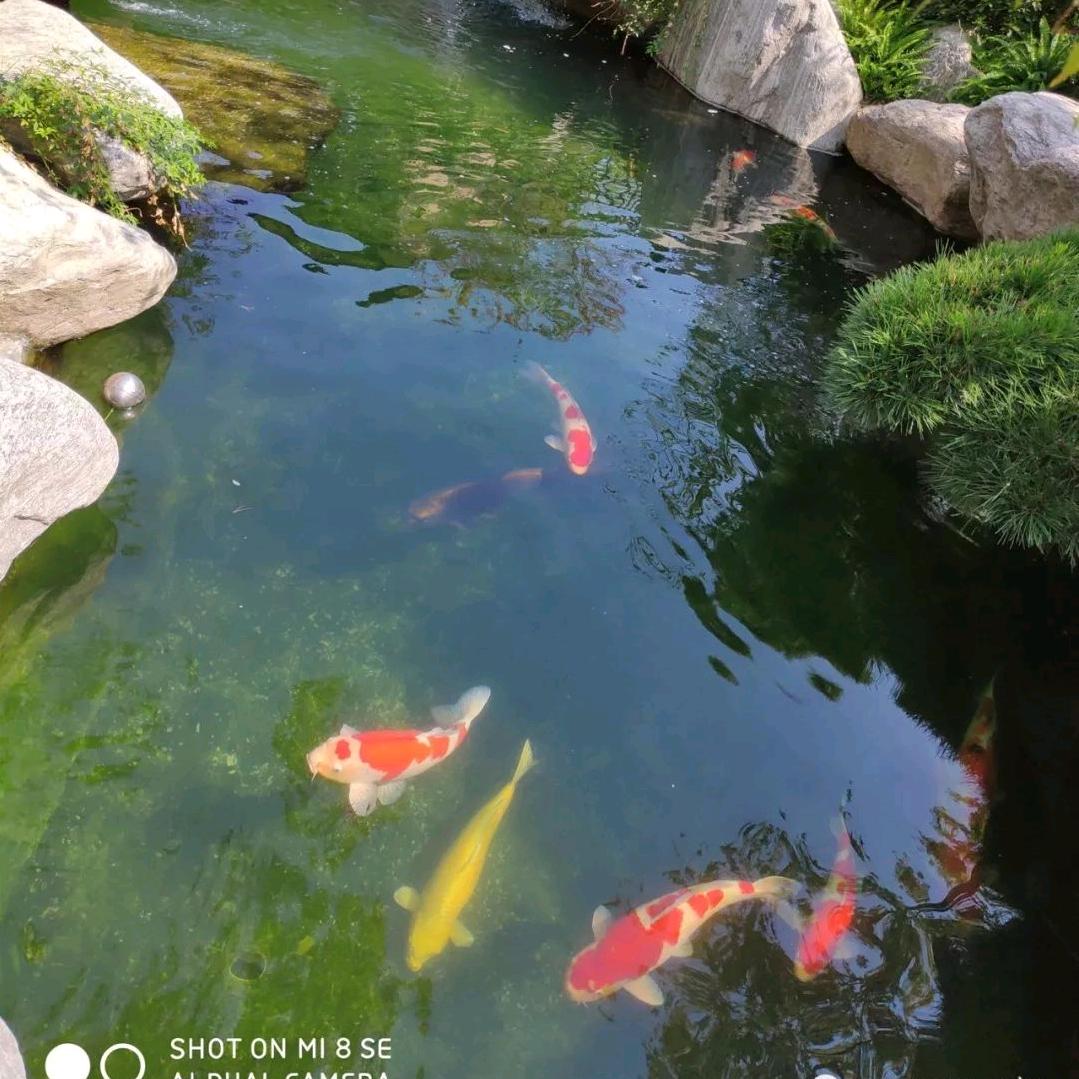 陕西神木煤炭，内蒙鄂尔多斯煤炭