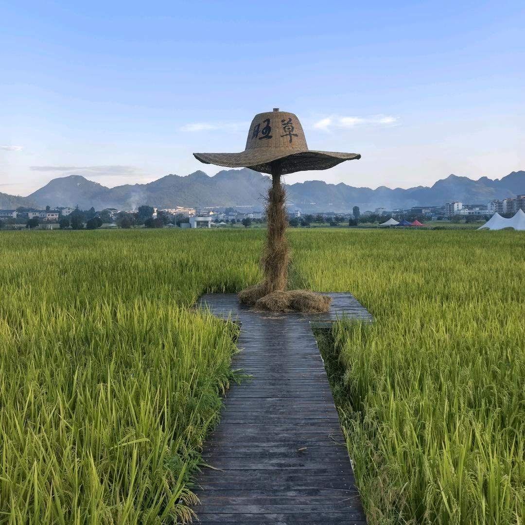 与孤独合葬