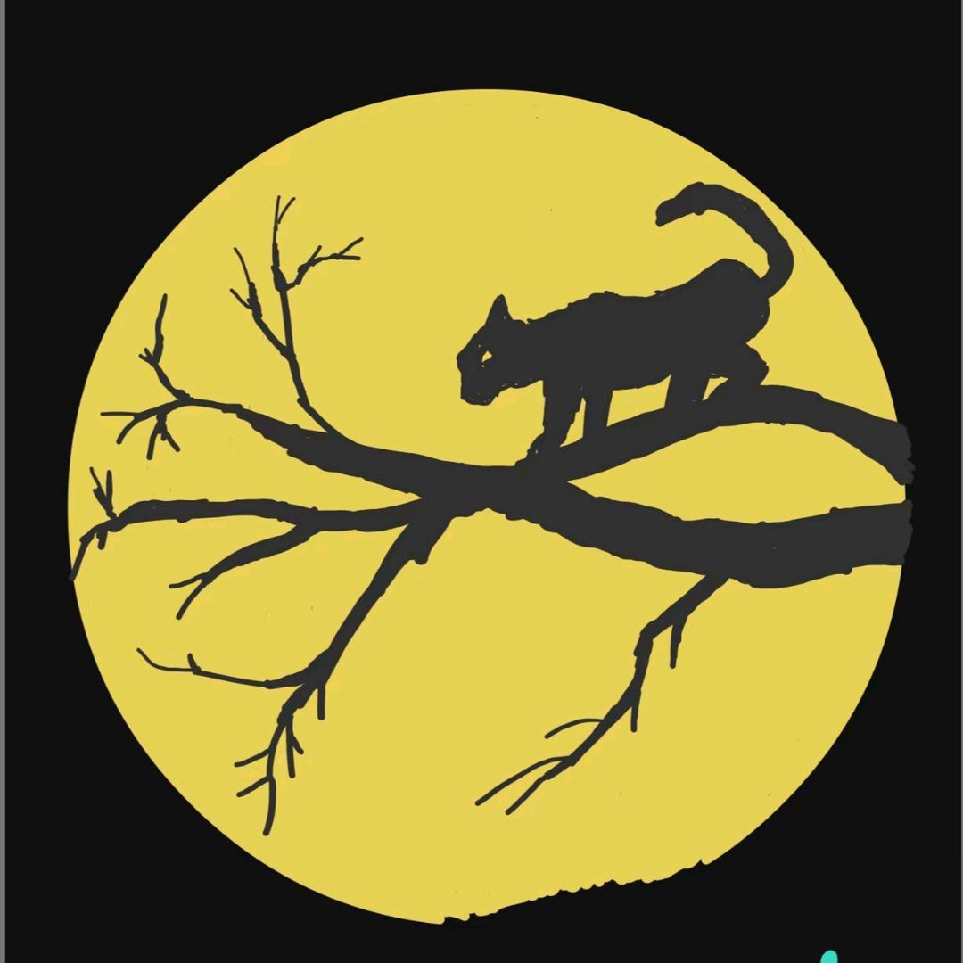 🪂🪂🪂🪂🪂🪂🪂🪂