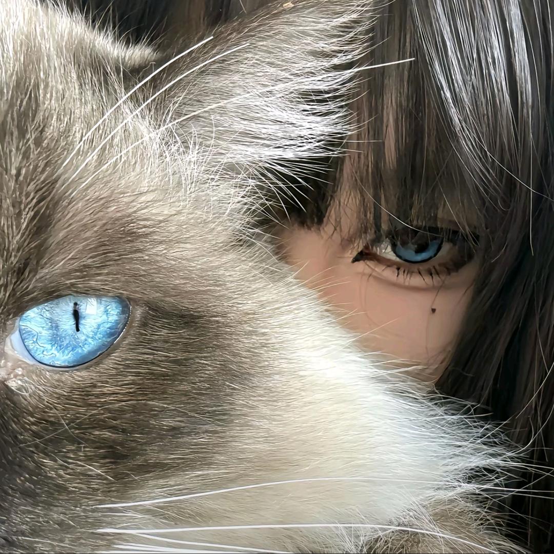 第七片海没有潮汐