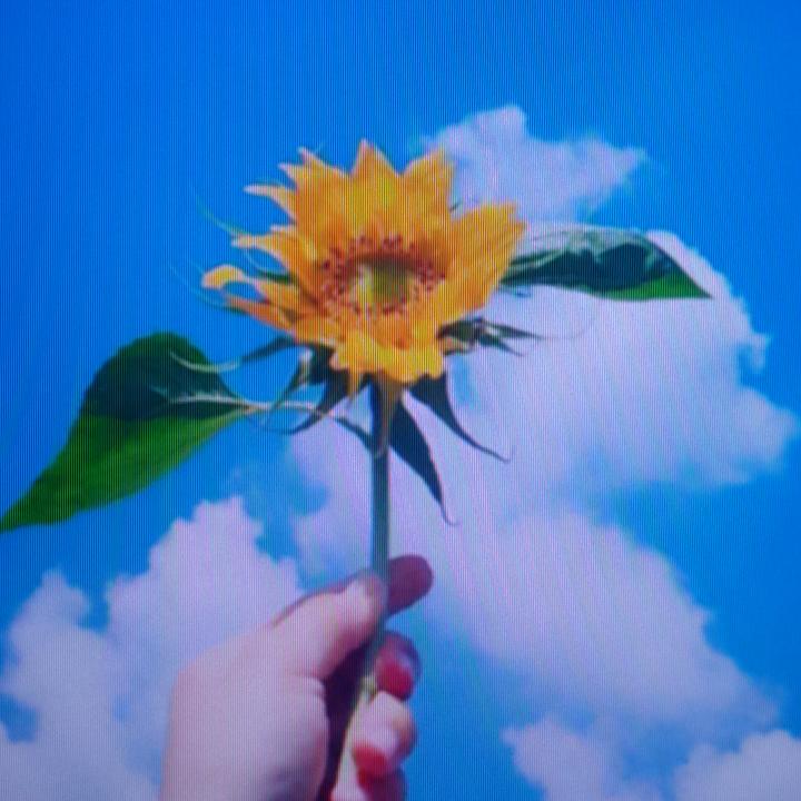 小花花花花