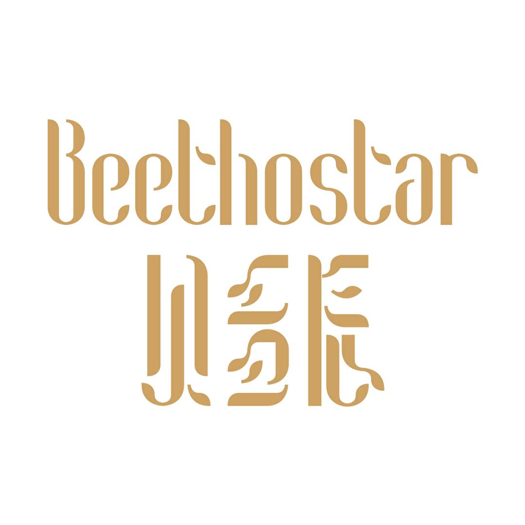 贝多辰领原乐器专卖店