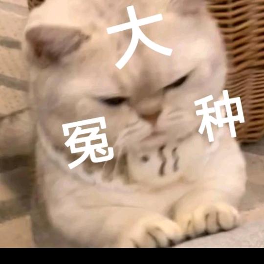 聿元