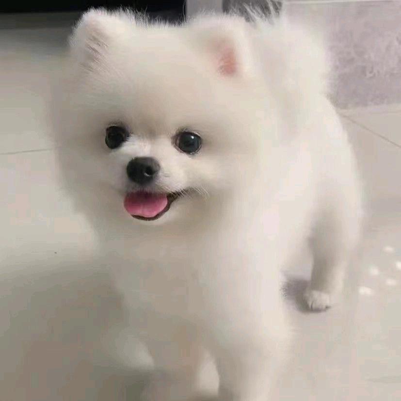 🥀₅²⁰赵财ོ进宝ོ¹ᶟ₁₄
