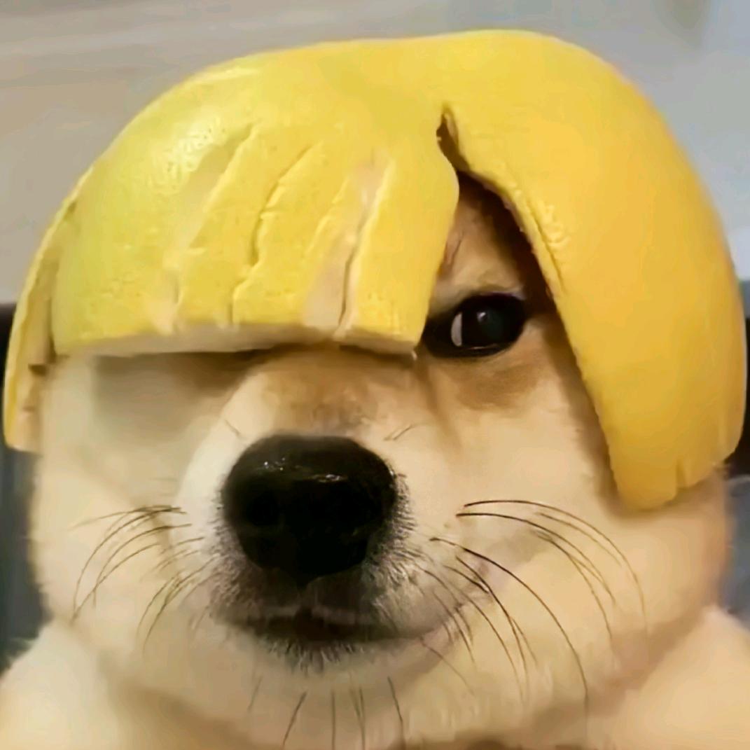 做短视频运营推广的先生蒲