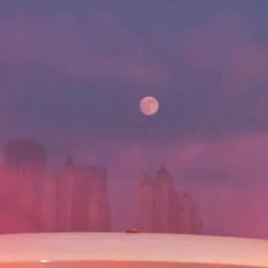 一颗小邢邢⭐