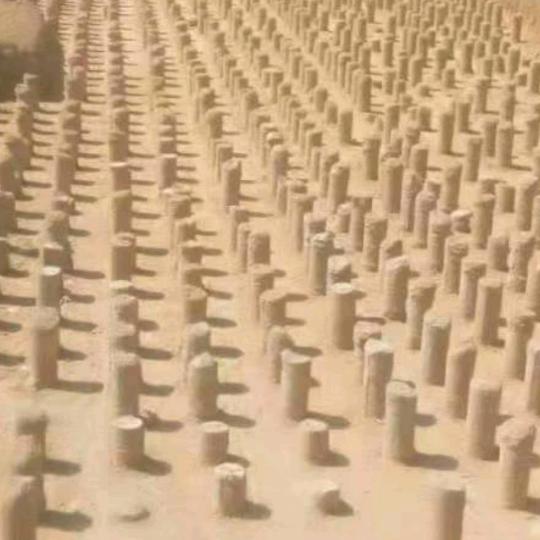 专业锯桩方桩素桩管桩灌柱桩开