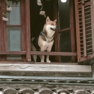 @吴拾壹