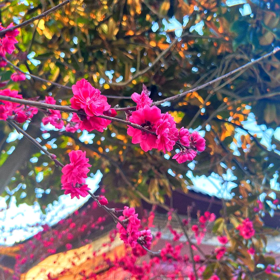 寻缘