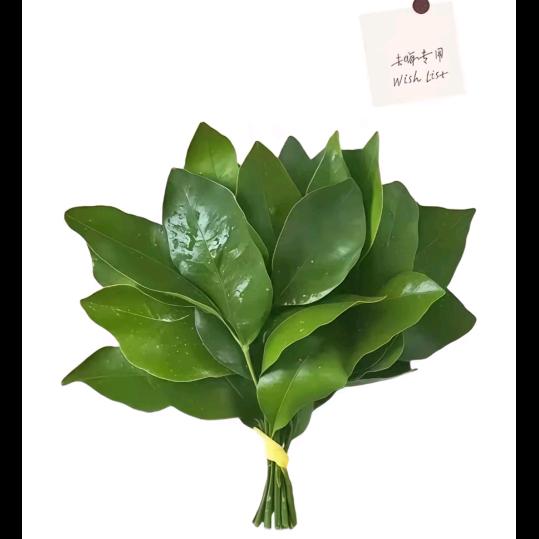 猫粮