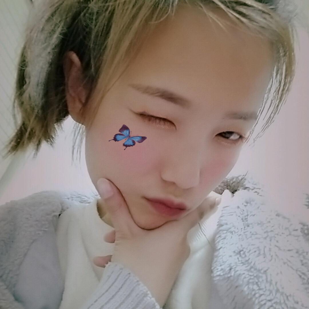 燕子吖