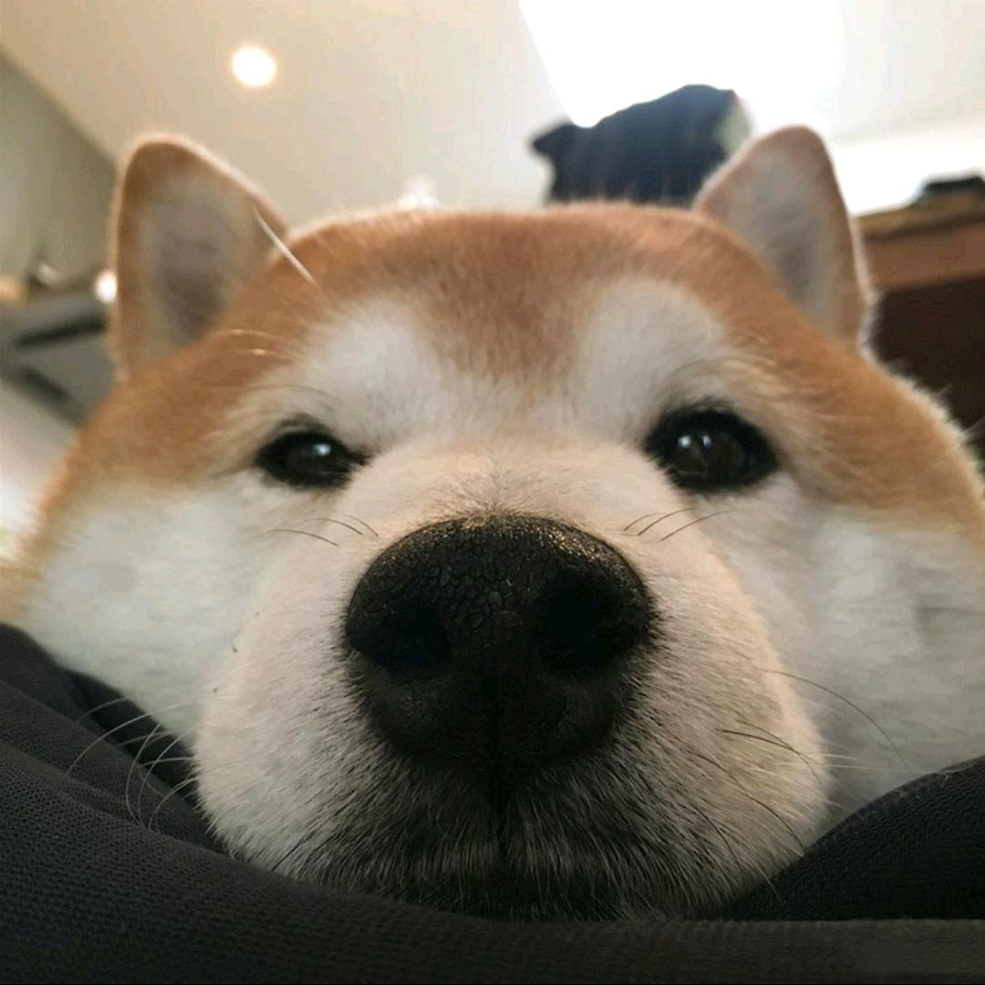 盛天