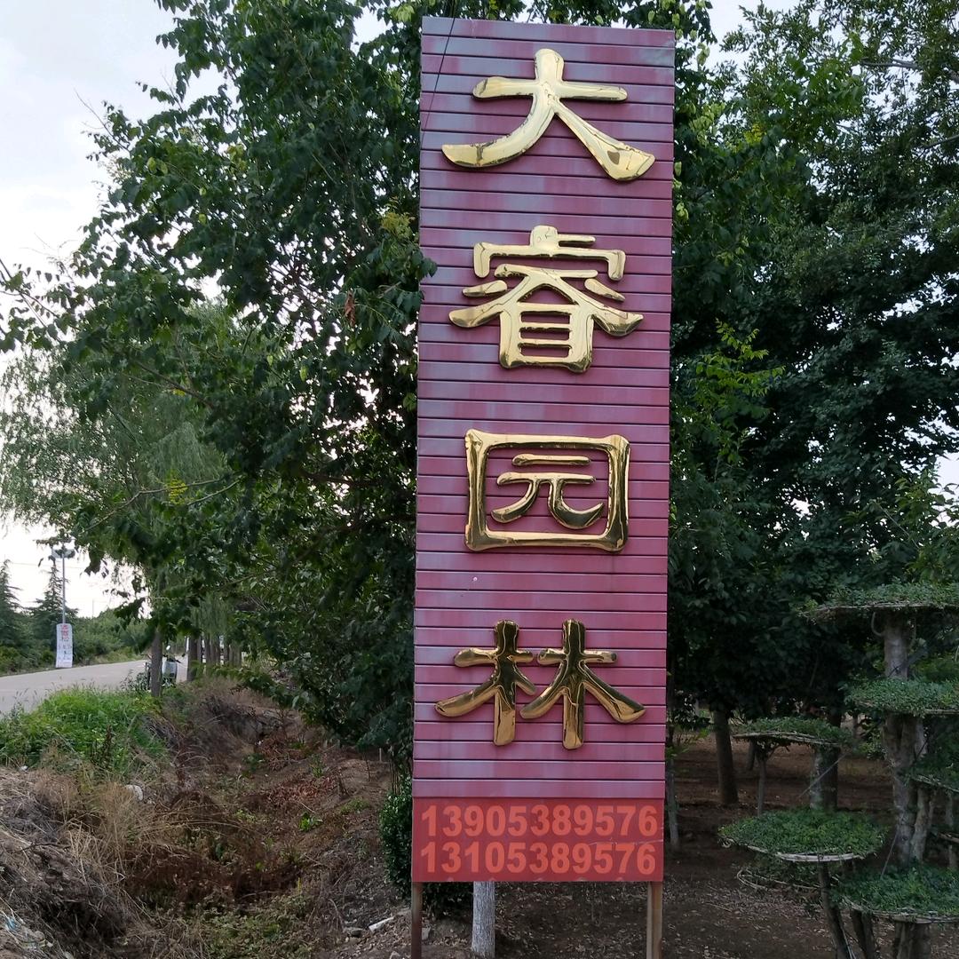 大睿园林