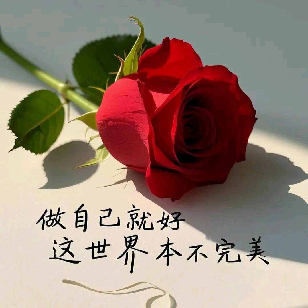 盛夏的诗💃💃