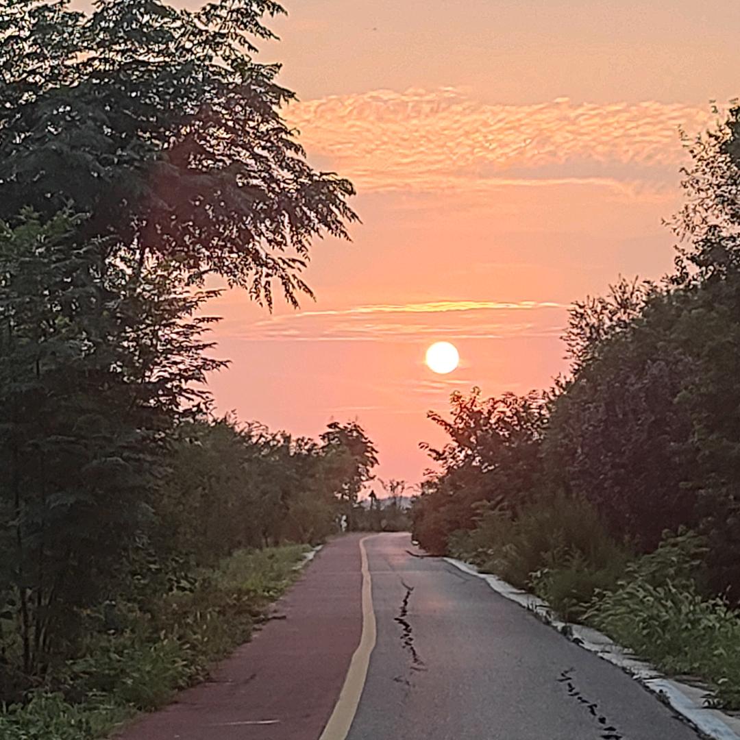 瑶宝