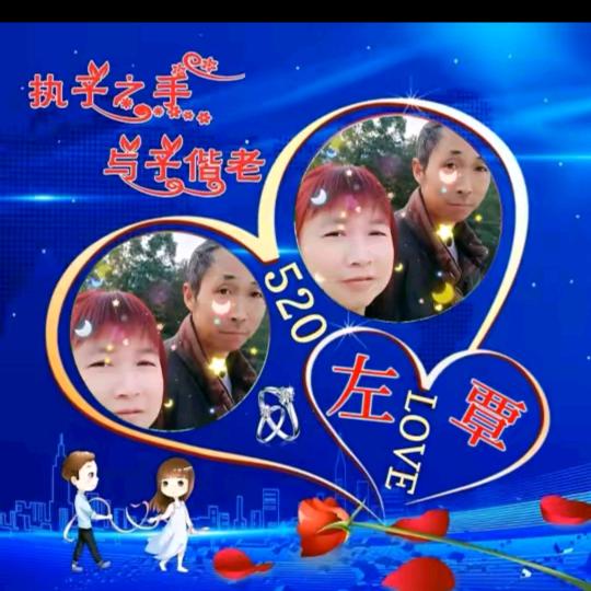 🌹忘忧草🌹