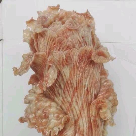 玺玺珊瑚玉