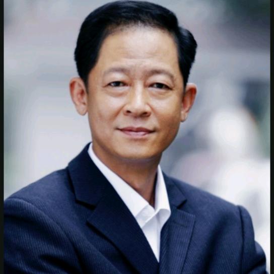 拂堤杨柳