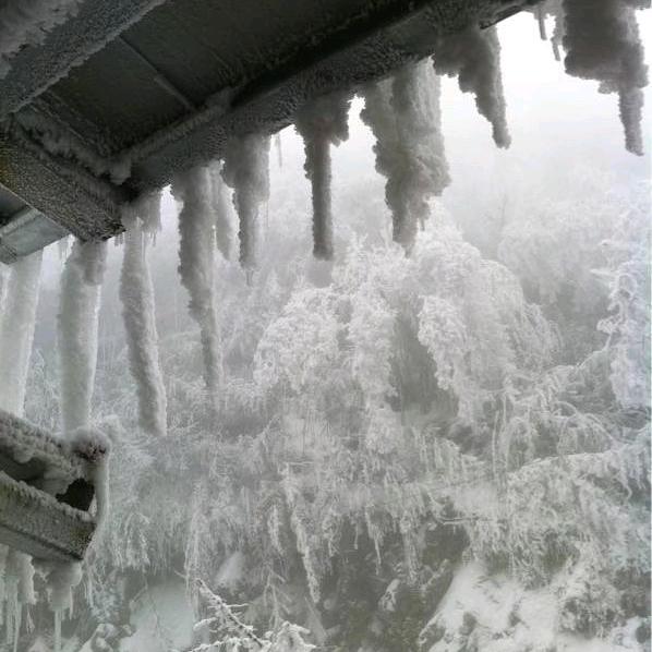 等风等雨我等你
