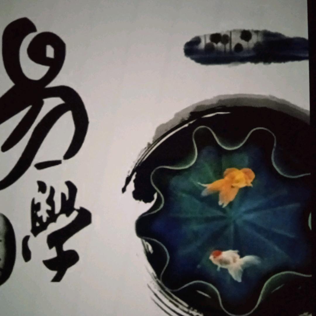 法雨师兄，回关👀