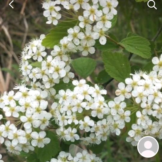 慯芯LOVE芯慯