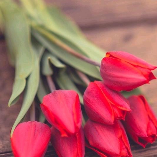 飘雪(经验分享主播)