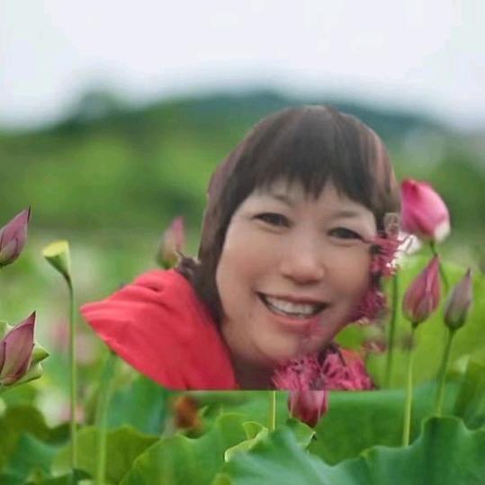 单只蝴蝶🦋(往事清零)